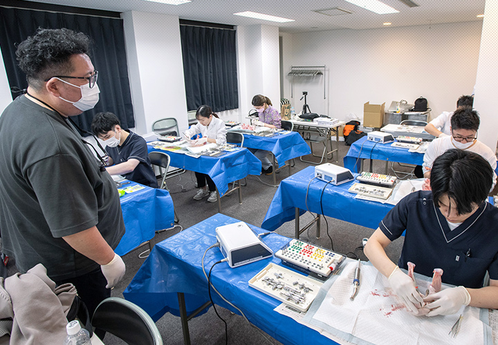 インプラントセミナー 豚骨実習