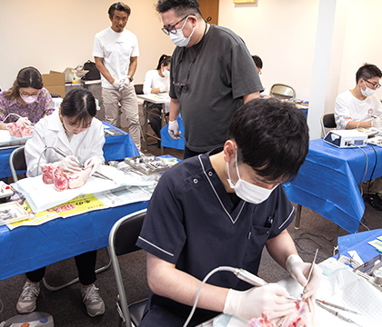 インプラントセミナー 埋入・実習・豚骨